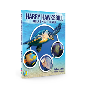 Harry Hawksbill Helps His Friends by Paul Mila