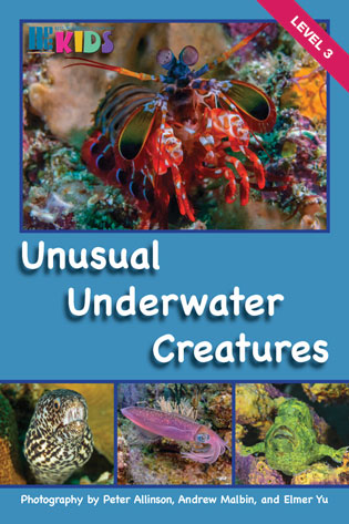 Unusual Underwater Creatures Cover W