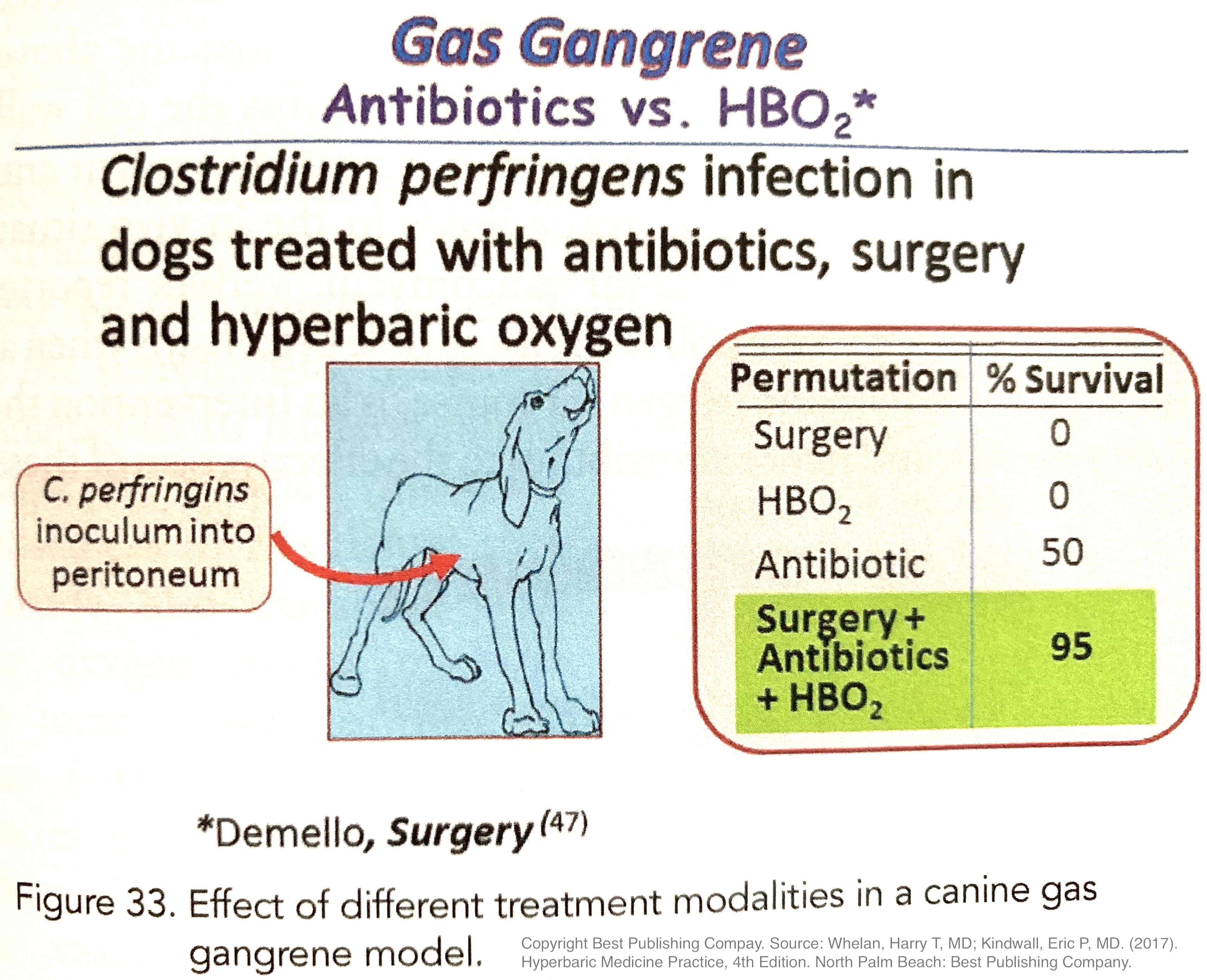 Gas Gangrene and HBO2