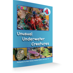 unusual_uw_creatures-frontcover-2018_01_29